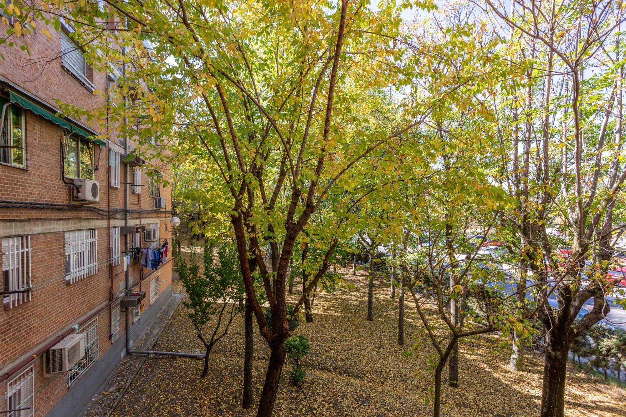 Apartamento 3 Habs Madrid Az10 Esterno foto
